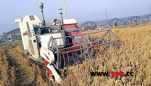宁波鄞州开启首辆无人驾驶联合收割机