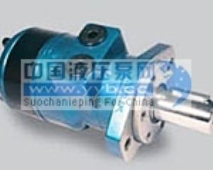 供应意大利萨姆BR-BS摆线马达
