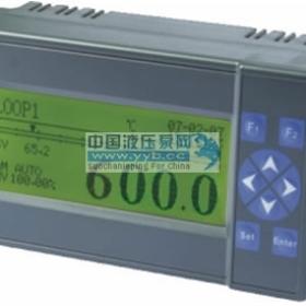 供应AOTS-100YJ液晶显示调节仪