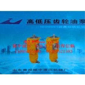 山东双联齿轮油泵厂家——山东双联齿轮油泵